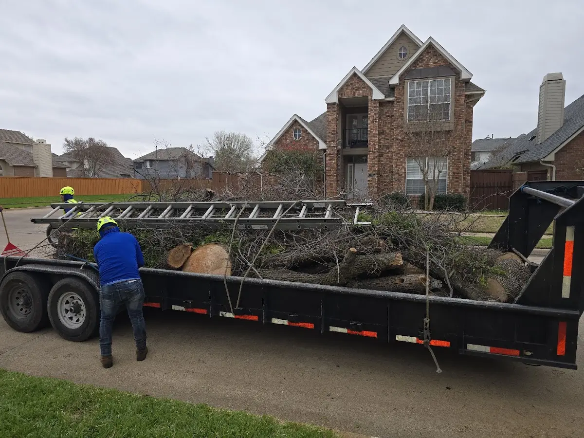 Expert Tree Pest Control with proper safety equipment in Vanderbilt